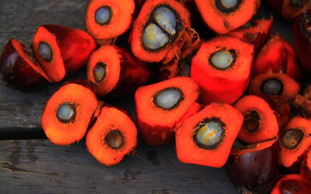 What is Responsibly-Sourced Palm Oil?