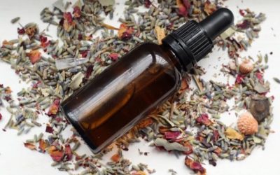 Wild Rosehip Oil DIY with Betony & Sage